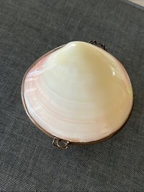 Vintage Natural Sea Shell Hinged Trinket Box